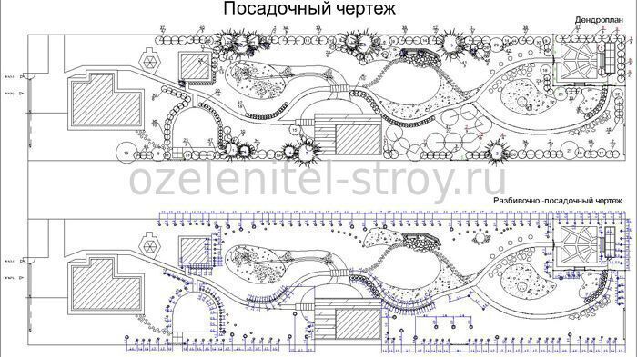 Разбивочный план сквера