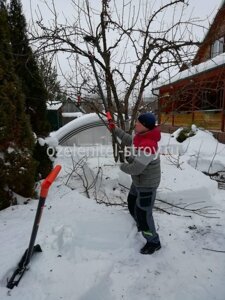 Зимняя обрезка сада в декабре